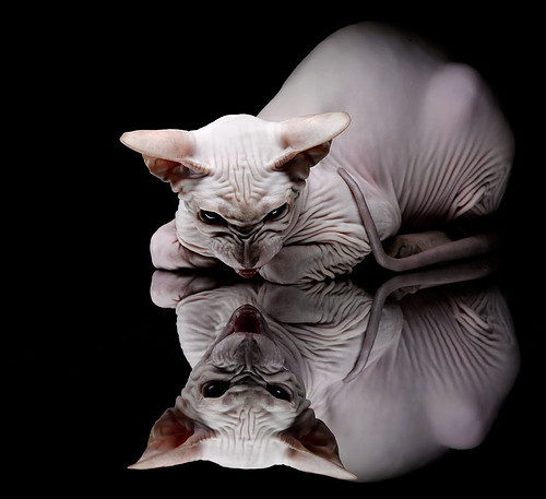 【马克·塞尔比】坚守防守原则,赢得比赛的致胜法宝,马克塞尔比练球视频