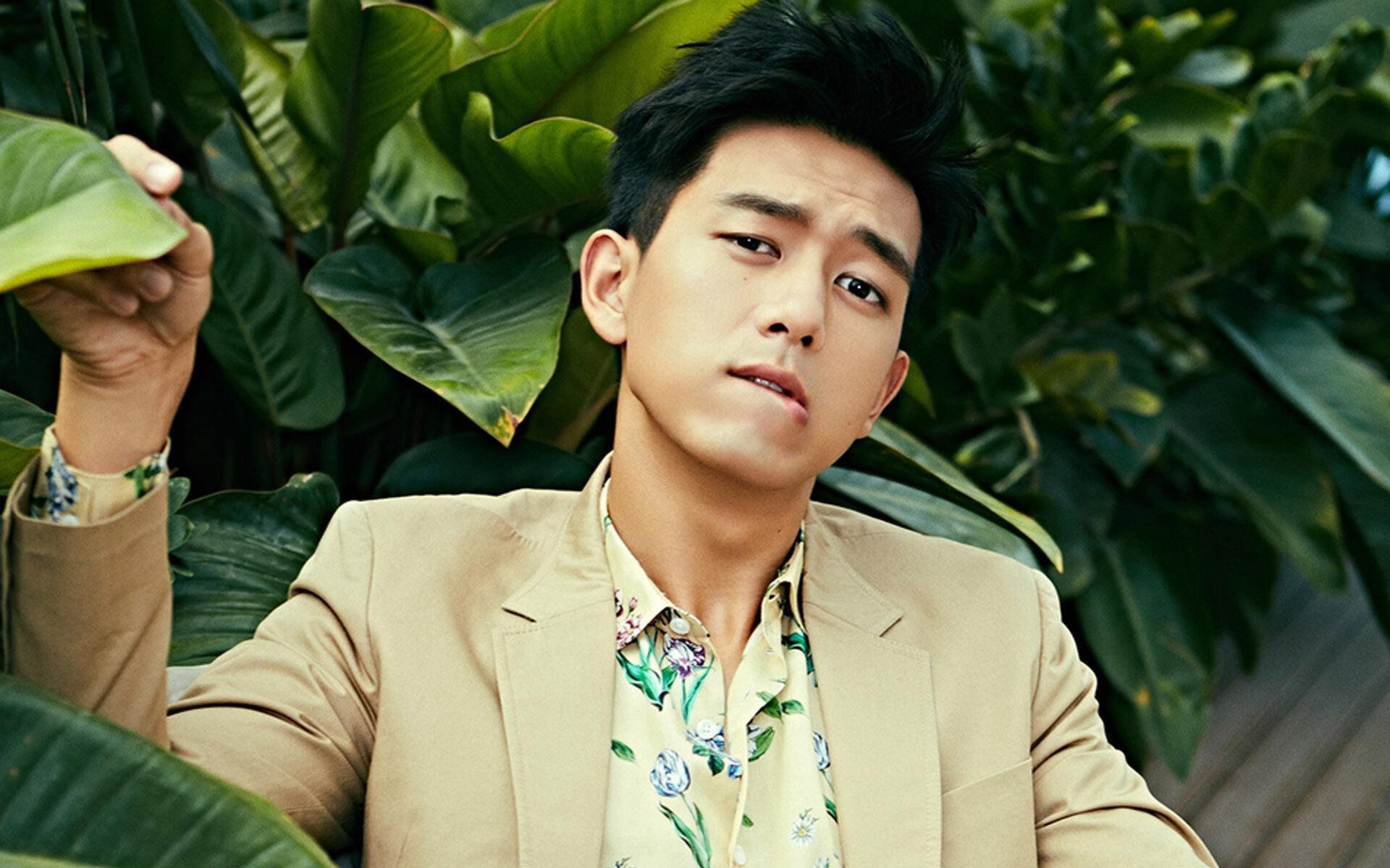 中国篮球裁判体系改革，赛场公正性提升，中国篮球裁判体系改革,赛场公正性提升是什么