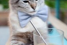 开云体育-季风体验：在多变风向中考验运动员适应能力